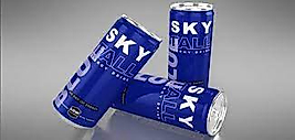 Sky Fall Enerji Içeceği 250ML 24Adet SKY